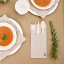 BIO ubrousek hnědý DOUBLE POINT složený do kapsy na příbory 40x40cm (1400ks)