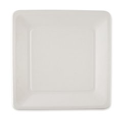 BIO talíř z cukrové třtiny čtverec 20x20cm (1000ks)