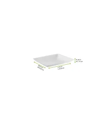 100% BIO talíř z cukrové třtiny čtverec 6,5x6,5cm (300ks)