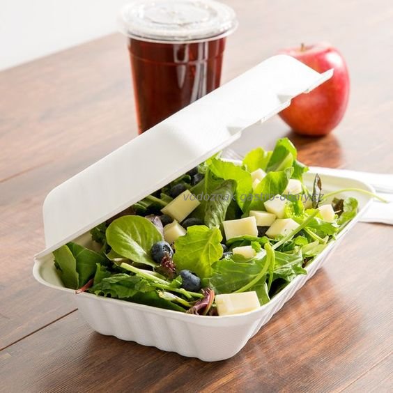 BIO menubox jednodílný z cukrové třtiny 18,3x13,5 cm (500ks)