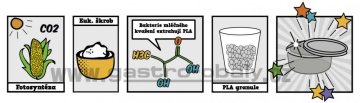 Kukuřičný škrob/PLA