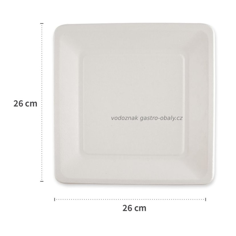 BIO talíř z cukrové třtiny čtverec 20x20cm (1000ks)