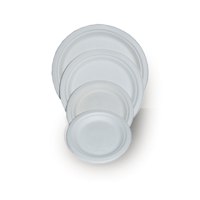 BIO talíř z cukrové třtiny průměr 23cm (500ks) BIO talíř z cukrové třtiny průměr 23cm (500ks)