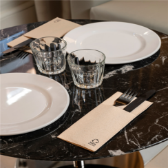 BIO ubrousek hnědý DOUBLE POINT složený do kapsy na příbory 33x40cm (1400ks)