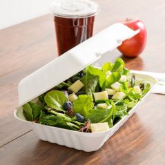 BIO Krabička / Menubox na jídlo 1 dílný z cukrové třtiny (250ks)